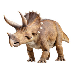 Fototapeta premium Three-horned triceratops in natural environment a prehistoric wildlife capture, isolated on transparent background