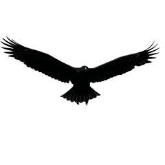 Solid black silhouette of an eagle flying