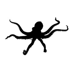 Solid black silhouette of an octopus floating