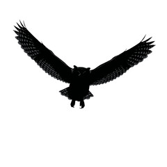 Solid black silhouette of an owl flying