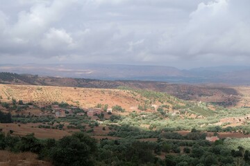 a view of a valley with a few trees