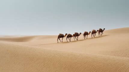 A single-file caravan of camels traverses the rolling golden sand dunes under a muted sky, embodying a timeless desert journey.
