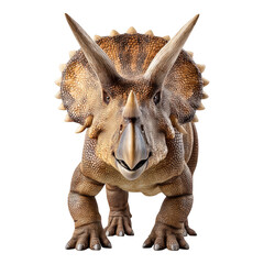 Fototapeta premium Triceratops displaying its unique three horns in a natural landscape setting, isolated on transparent background