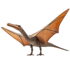 Fototapeta premium Flying bird model with spread wings, perched stance, and detailed feathers, isolated on transparent background.