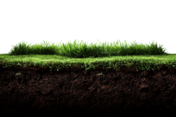 Green grass with soil layer on transparent background