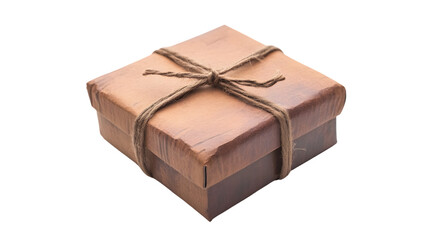 Professional Brown Cardboard Box on White Background Isolated