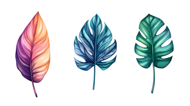 Elegant Leaf Icon Logo Illustration on White Background