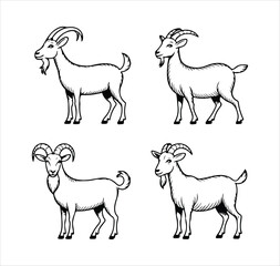 Goat logo and set icon design vector