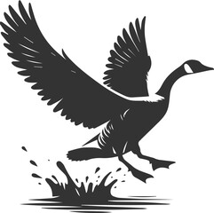 A drawing vector silhouette of a goose bird