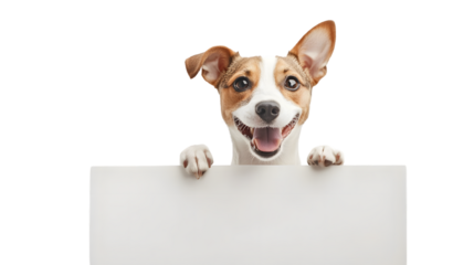 Cute Pets Behind White Board Smiling and Peeking in Playful Manner
