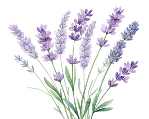 Naklejka premium seamless floral pattern