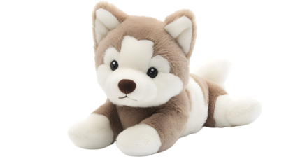 Adorable Stuffed Siberian Husky Puppy Isolated on White Background
