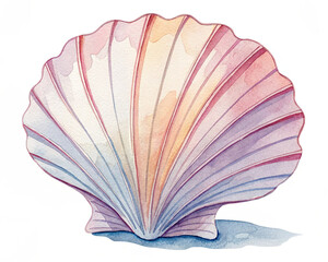 shell