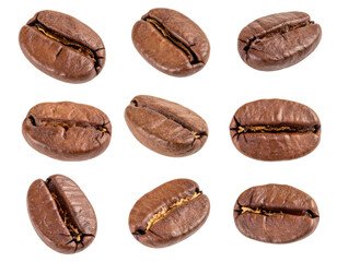 Nine roasted coffee beans from different angles on transparent background