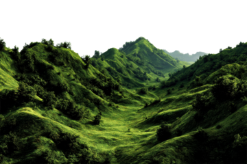 Lush green hills with dense vegetation in serene landscape