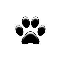 paw print icon on white background .