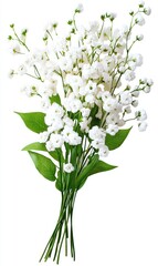Delicate bouquet of small, white flowers.  Clusters of blossoms with vibrant green foliage.  A fresh and elegant arrangement