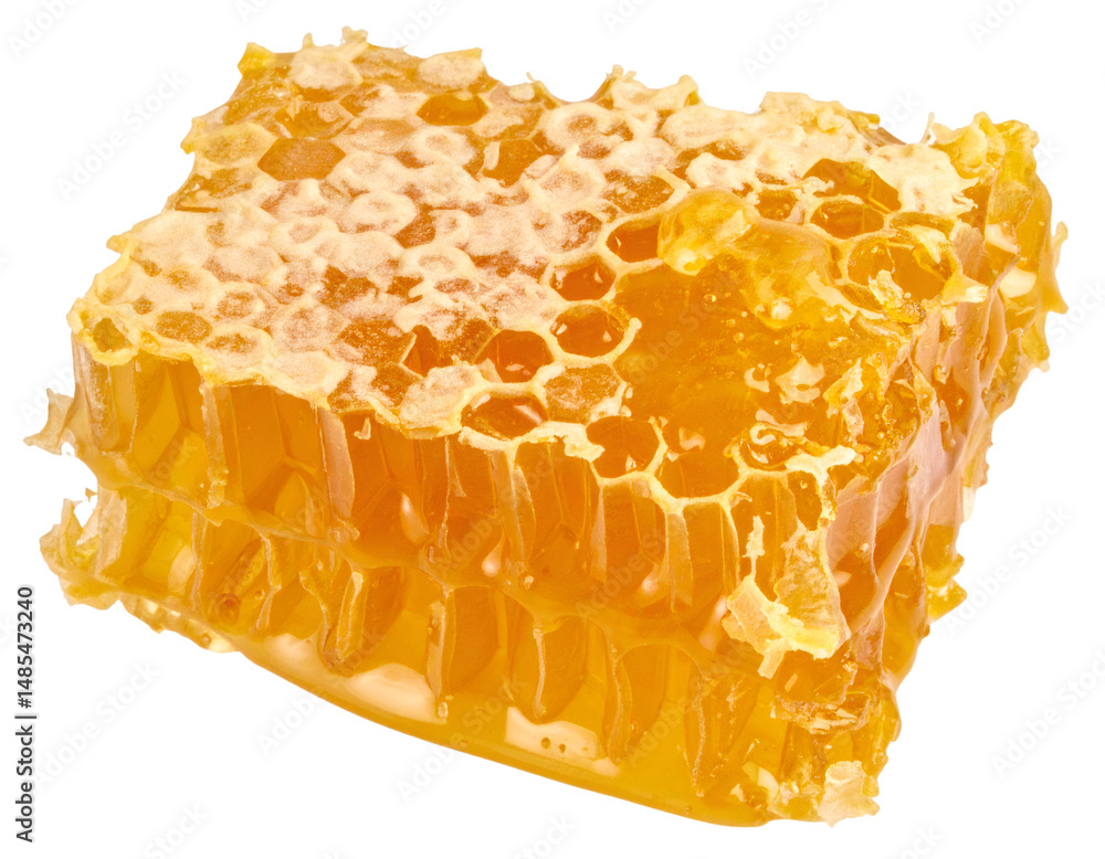 Poster honeycomb chunks close up isolated on white background with transparent background