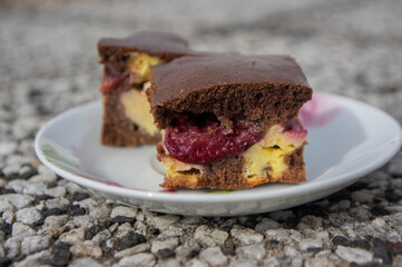 Delicious french cake with cottage cheese, plums and cocoa, baked tasty autumnal gourmet biscuit cut in squares on plate