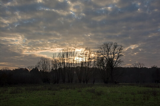 Cloudy sky with evening sun setting overbare trees. Bourgoyen nature reserve, Ghent, Flanders, Belgium 