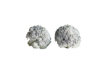 a pair of broccoli heads