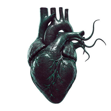 Anatomical dark green heart sculpture isolated