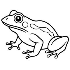 Elegant Frog Line Art in Viridian