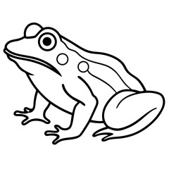 Elegant Frog Line Art in Viridian
