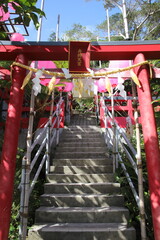 正月飾りをまとった鳥居