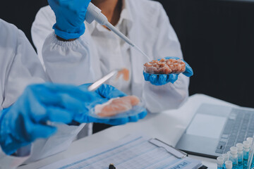 Chemical Laboratory of the Food supply . Food in laboratory, dna modify .GMO Genetically modified...