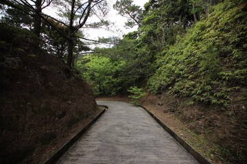公園の散歩道