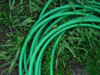 Close-up shot of a green garden watering hose lies in the grass.