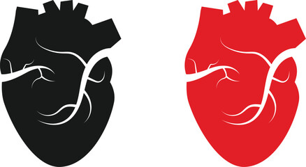 illustration of real heart vector on transparent background.