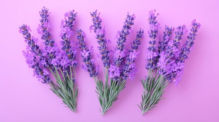 Fototapeta premium The scene features purple flowers sitting on a white counter, set against a pink and purple wall with clouds visible in the background