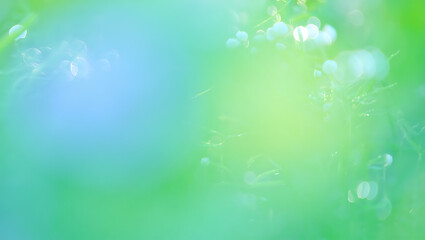 Obraz premium Soft Pastel Green and Blue Abstract Nature Background, Bokeh Effect