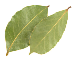 Two Bay Laurel Leaves Isolated on Transparent Background