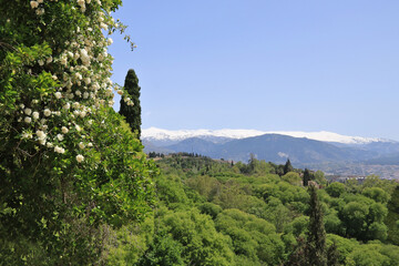 Blick auf die schneebedeckte Sierra Nevada am Horizont
in Spanien