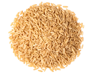 Pile of brown rice grains forming a circle on transparent background