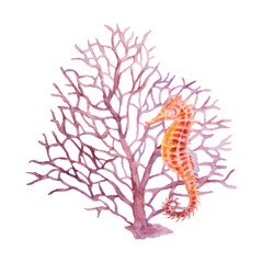 Seahorse and pink coral fan. Watercolor hand drawn illustration of marine life. Perfect for ocean-themed designs, diving visuals, educational materials, aquarium art and tropical sea decor.