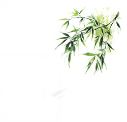 Fototapeta premium Bamboo leaves isolated on white background