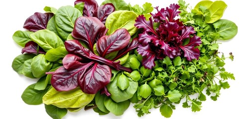 Vibrant mix of organic spinach, chard, lettuce & arugula on white background, winter, green