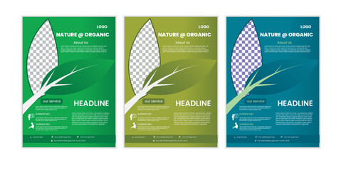 a bundle of 3 template agricuture flyer design, in blue color, and modern design,marketing,medical proposal, promotion, advertise, publication and editable vector template design