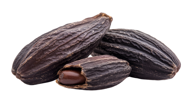 Tonka Bean Close-up on White Background - Fresh Exotic Ingredient Photo