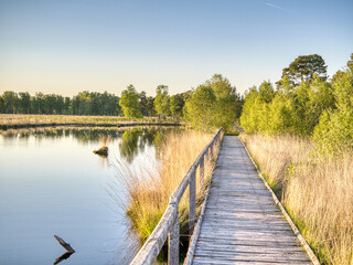 Wandern auf dem Lehrpfad Pietzmoor