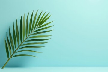 Single tropical frond against a light blue background, perfect for summer themed designs and product displays