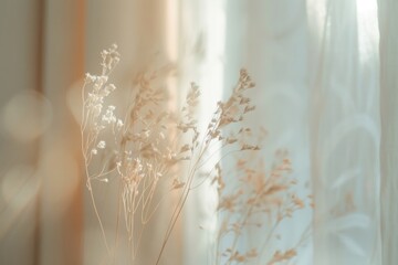Home chandelier windowsill blossom.