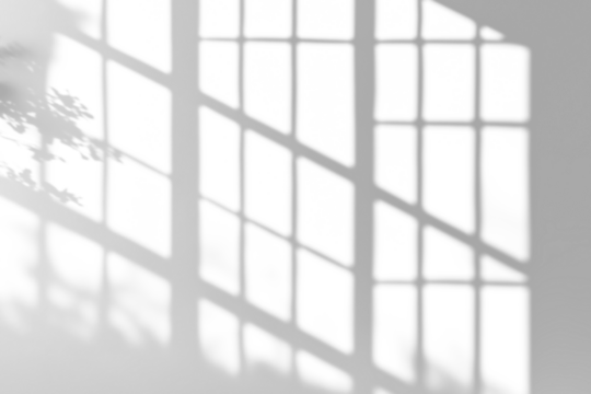 shadow overlay effects of realistic window and tree branch shadow with light blur on transparent background,Summer sunlight and shadow overlay effect