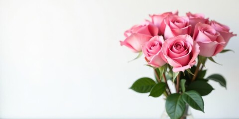 A Delicate Bouquet of Light Pink Roses on a White Background, Perfect for Elegant Designs and Romantic Projects