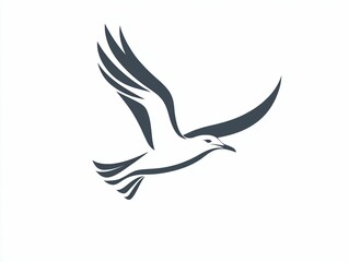 Obraz premium Soaring Seagull