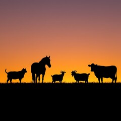Fototapeta premium Sunset Silhouettes